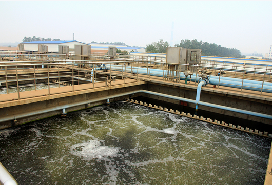 生物處理：污水處理的生態(tài)凈化核心技術(shù)