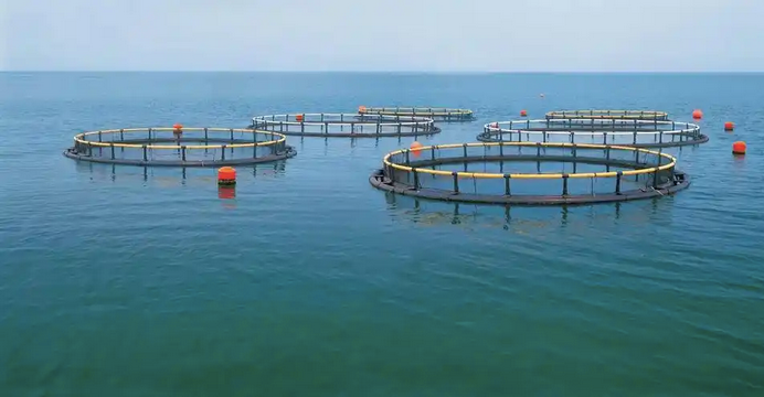 低碳轉(zhuǎn)型加速：從“能源消耗者”到“碳匯貢獻(xiàn)者”