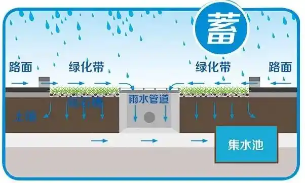 ​如何判断雨水收集系统中储存的水是否可以安全使用？