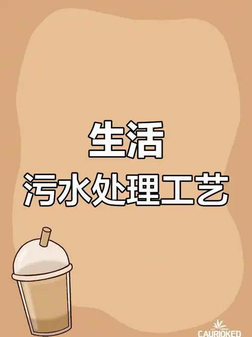 从马桶到河流：你的"冲水"到底经历了什么？