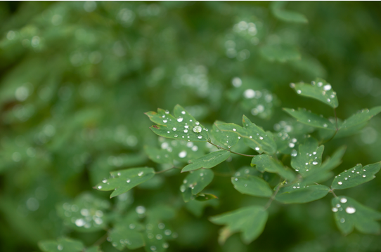 ​深耕雨水收集，解锁水资源利用新空间