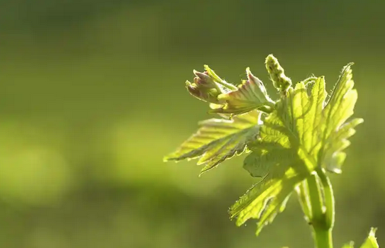 ​科学雨水收集：解锁水资源循环新价值