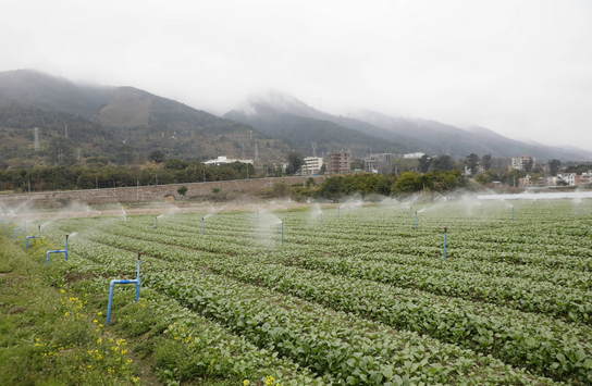 善用天降之水 筑牢生态水脉