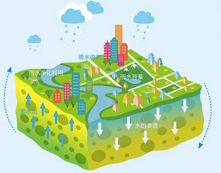 惜取天降水，共筑水未来 —— 雨水收集的生态价值与时代意义