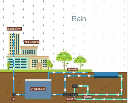 雨水收集实用指南——在家也能轻松实现的节水妙招