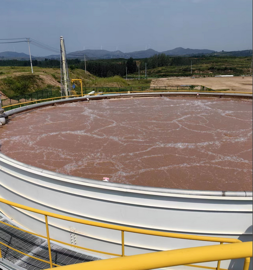 厌氧氨氧化低碳脱氮技术浅析