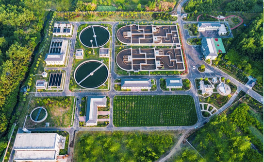 厌氧氨氧化（Anammox）低碳脱氮核心技术解析