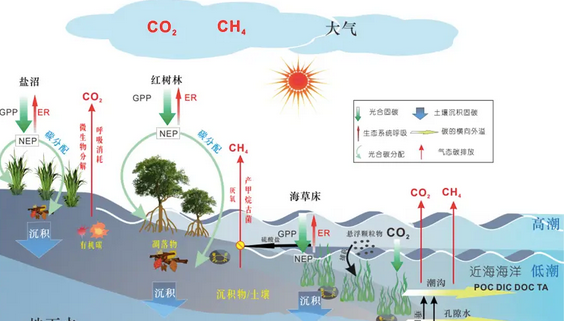 当前城镇污水处理减污降碳工作现存痛点问题（工艺体系老旧，能耗与碳排基数偏高）
