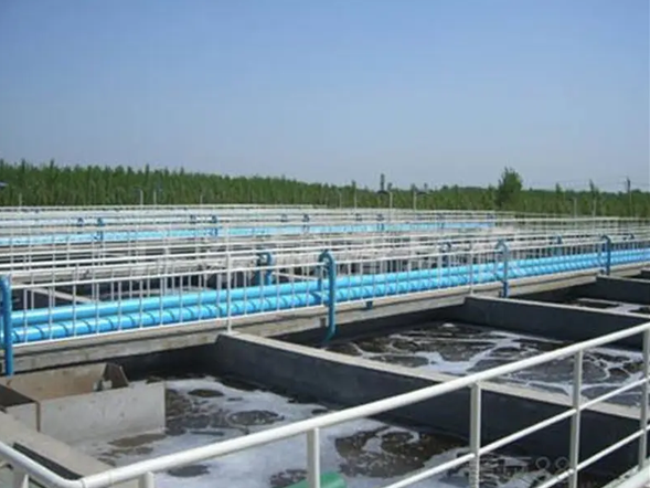 厌氧氨氧化工艺启动难与稳定性差的问题优化技术方案