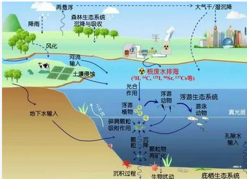 城镇污水处理厂碳排放构成与特征分析